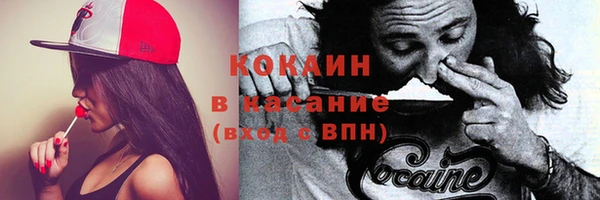 СК Алзамай