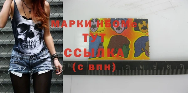 хмурый Алексин