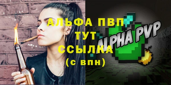 СК Алзамай