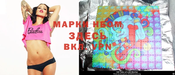 хмурый Алексин