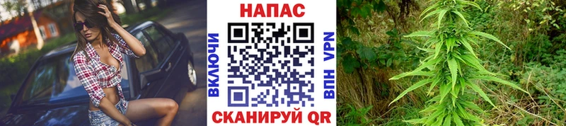 сколько стоит  Цимлянск  Бошки Шишки White Widow 